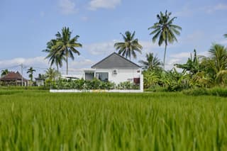 Van Sheva Ubud Villa