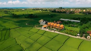 D'jineng Rice Terrace Bungalow